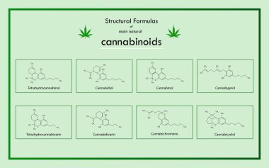 Ana doğal kannabinoidlerin yapısal formülleri