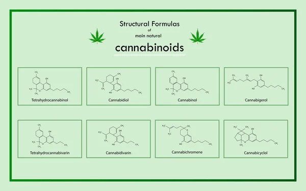 Structurele formules van de belangrijkste natuurlijke cannabinoïden — Stockvector