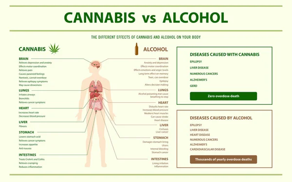 Cannabis vs Álcool infográfico horizontal —  Vetores de Stock