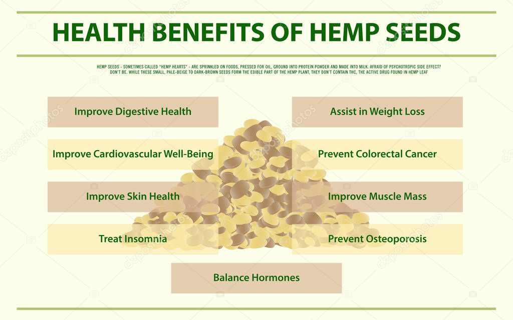 Health Benefits of Hemp Seedshorizontal infographic