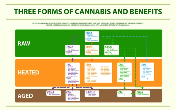 Three Forms of Cannabis and Benefits horizontal infographic — Stock Vector