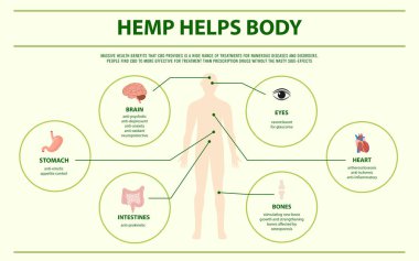 Hemp Helps Body horizontal infographic clipart