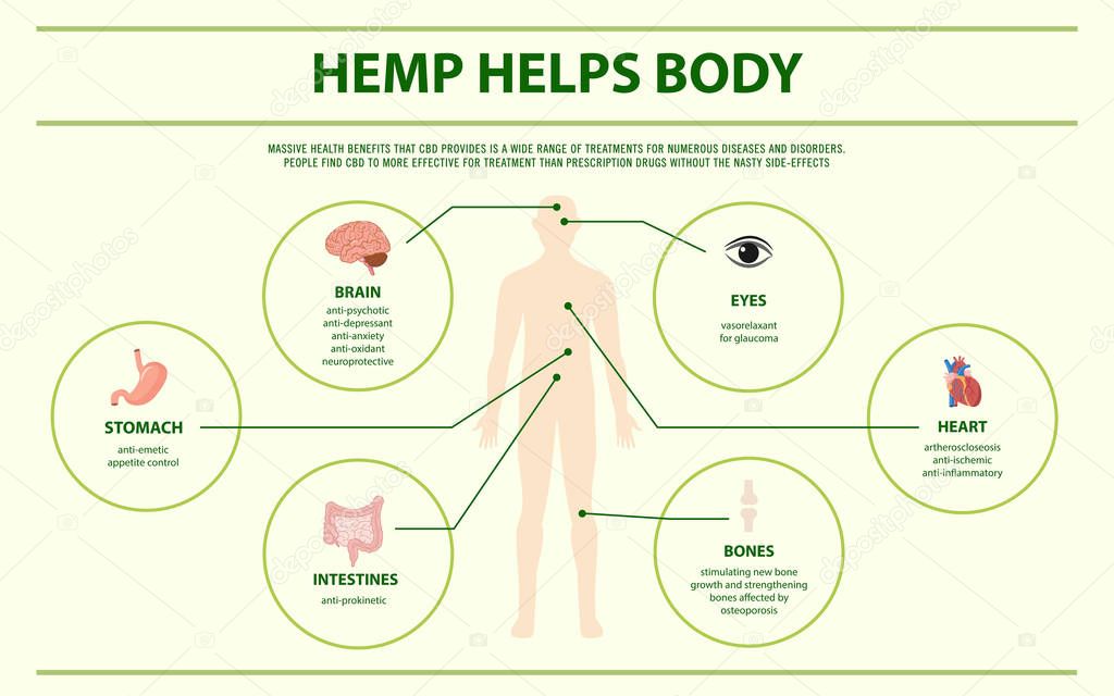 Hemp Helps Body horizontal infographic