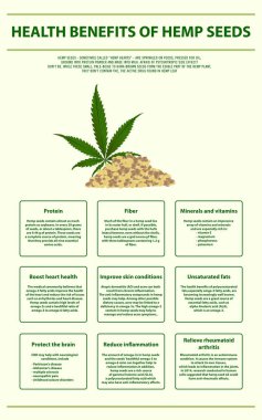Kenevir tohumu dikey infografik sağlık yararları