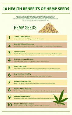 Kenevir tohumu dikey infografik 10 sağlık yararları