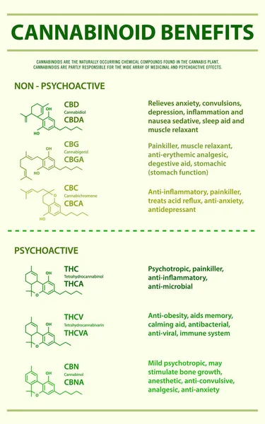 Cannabinoid profitiert von vertikaler Infografik — Stockvektor
