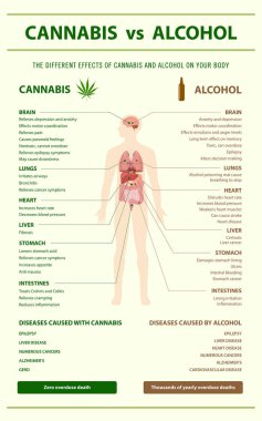 Cannabis vs Alcohol vertical infographic clipart