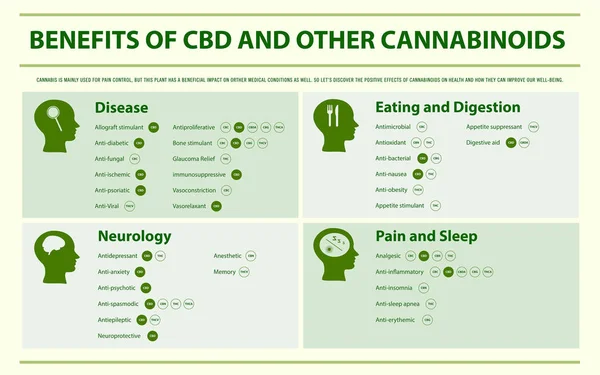 Beneficios del CBD y otros cannabinoides: infografía horizontal — Archivo Imágenes Vectoriales