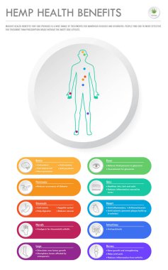 Hemp Health Benefits vertical business infographic clipart