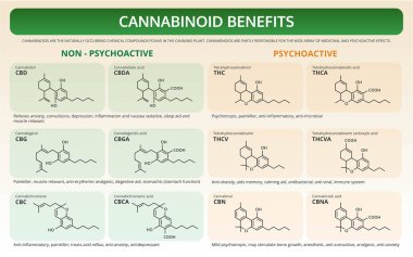 Cannabinoid Benefits horizontal textbook infographic clipart
