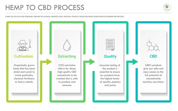 Hanf zu cbd Prozess horizontale Geschäftsinfografik — Stockvektor