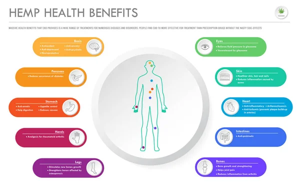 Beneficios para la salud del cáñamo infografía comercial horizontal — Archivo Imágenes Vectoriales