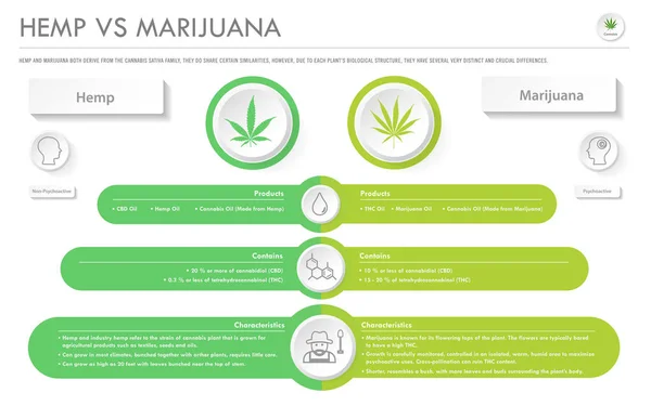 Canapa vs Marijuana orizzontale business infografica — Vettoriale Stock