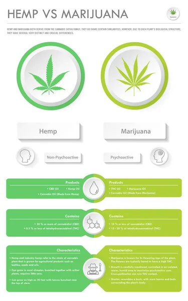 Infografía de negocios vertical cáñamo vs marihuana — Archivo Imágenes Vectoriales