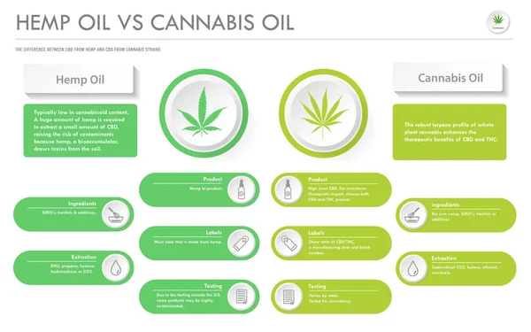 Aceite de cáñamo vs aceite de cannabis infografía horizontal de negocios — Archivo Imágenes Vectoriales