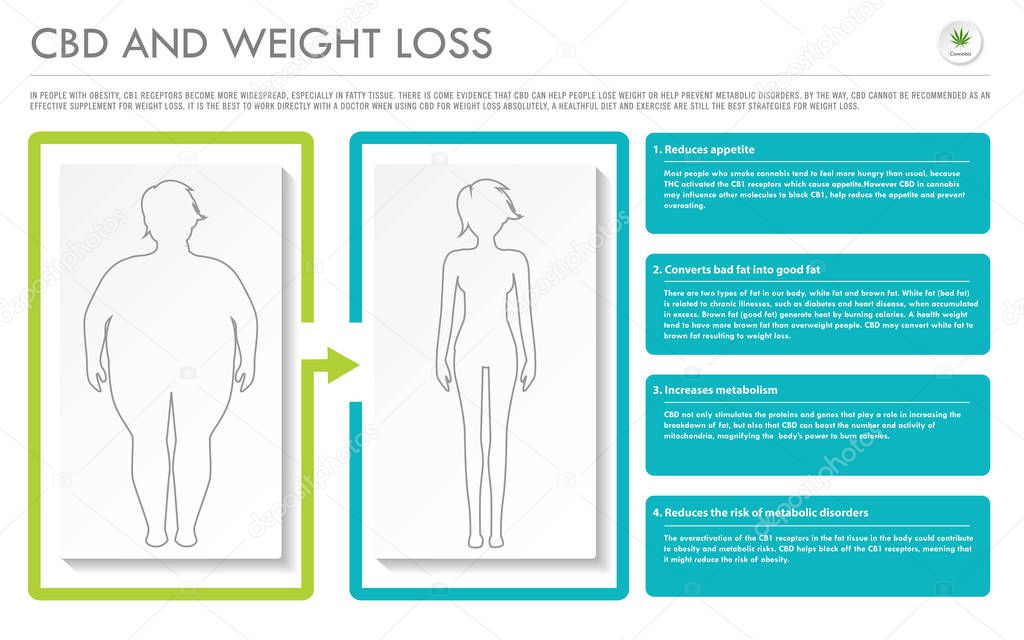 CBD and Weight Loss horizontal business infographic