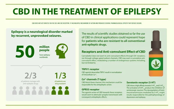 Cbd in der Behandlung von Epilepsie horizontale Infografik — Stockvektor