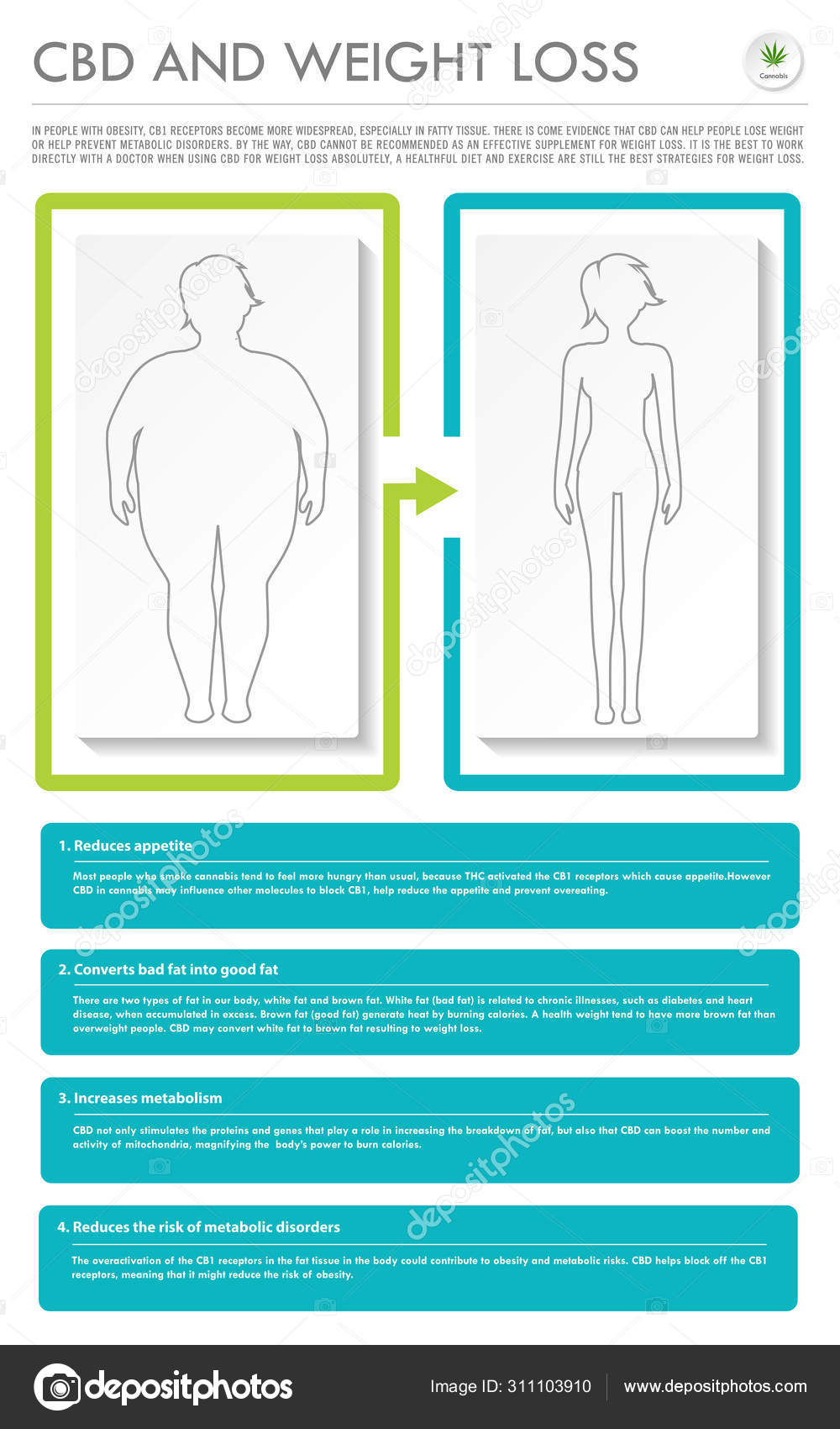Cbd And Weight Loss Vertical Business Infographic Stock Cbd And Weight Loss Vertical Business Infographic Stock