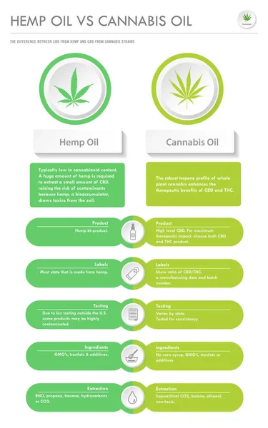 Aceite de cáñamo vs aceite de cannabis vertical infografía de negocios — Archivo Imágenes Vectoriales