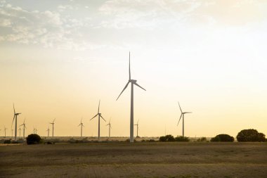 Rüzgar enerjisi. Buğday alanı ve mavi gökyüzü