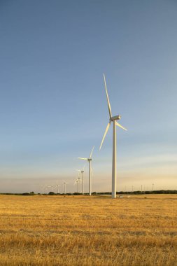 Rüzgar enerjisi. Buğday alanı ve mavi gökyüzü