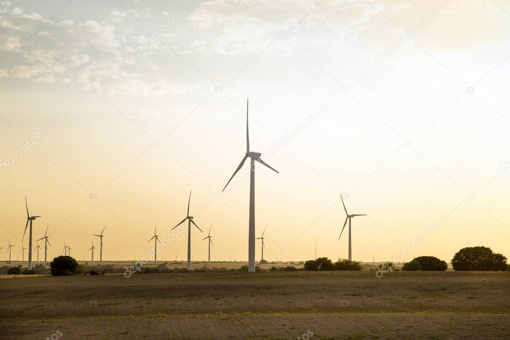 wind energy. wheat field and blue sky