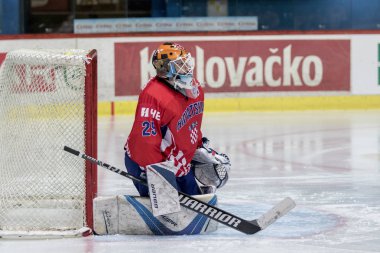 Zagreb, Hırvatistan - 15 Ocak 2019: U20 Hokey Şampiyonası Hırvatistan ve Nederland. Hokey oyuncuları iş başında.