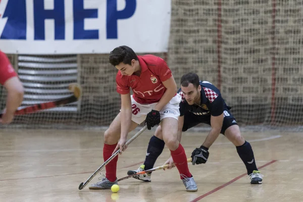 Zelina Croatie Janvier 2018 Croatia Indoor Cup 2018 Match Hockey — Photo