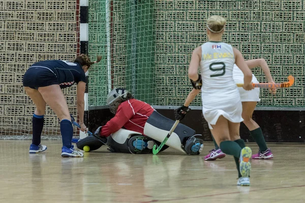 Zelina Croácia Janeiro 2018 Croácia Copa Indoor 2018 Jogo Hóquei — Fotografia de Stock