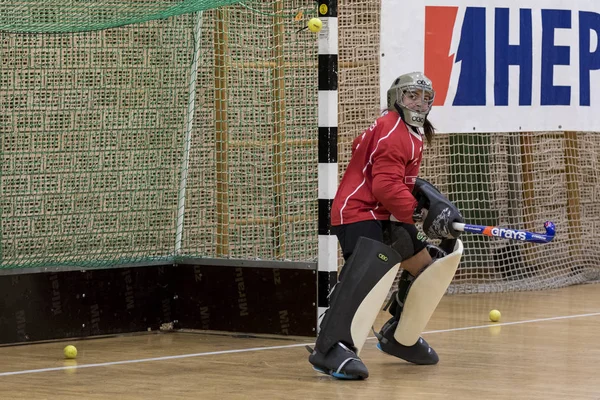 Zelina Croatia January 2018 Croatia Indoor Cup 2018 Indoor Hockey — Stock Photo, Image