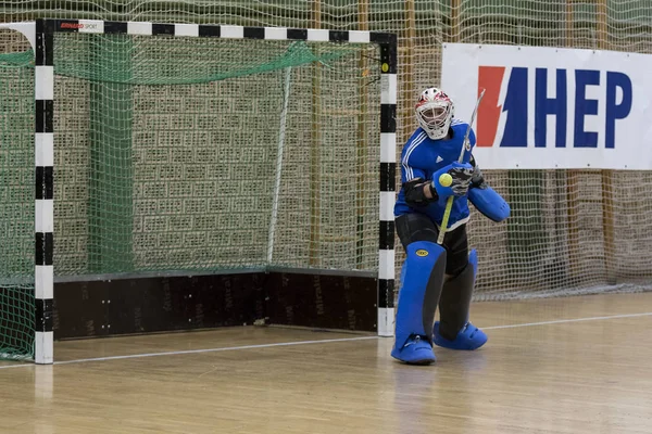 Zelina Croácia Janeiro 2018 Croácia Copa Indoor 2018 Jogo Hóquei — Fotografia de Stock