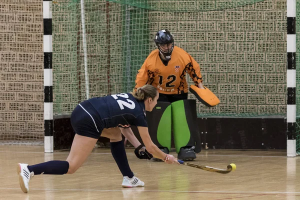 Zelina Croácia Janeiro 2018 Croácia Copa Indoor 2018 Jogo Hóquei — Fotografia de Stock