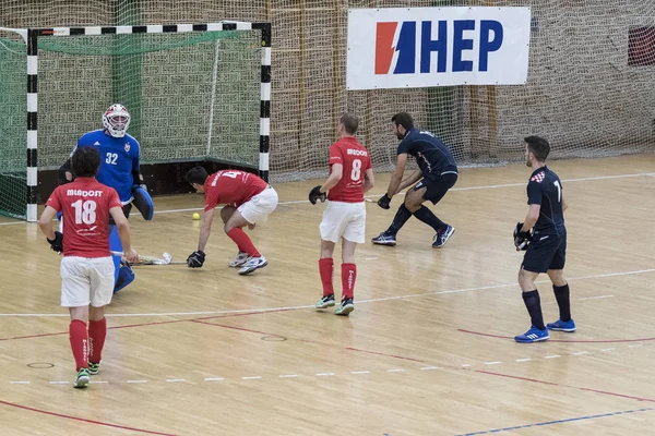 Zelina Croacia Enero 2018 Croatia Indoor Cup 2018 Partido Hockey —  Fotos de Stock