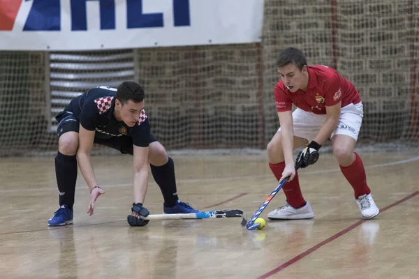 Zelina Croácia Janeiro 2018 Croácia Copa Indoor 2018 Jogo Hóquei — Fotografia de Stock