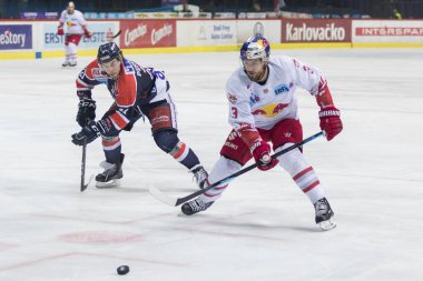 Zagreb, Hırvatistan - 10 Şubat 2018: Medvescak Zagreb ile Red Bull Salzburg arasında Ebel buz hokeyi ligi maçı. Mario Puskarich (21)