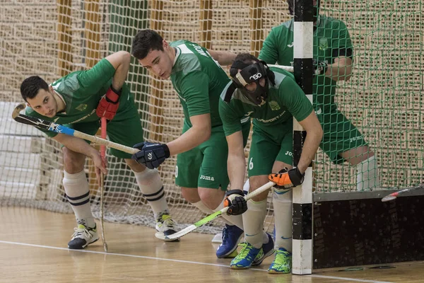 Zelina Kroatien März 2018 Tag Der Kroatischen Hockey Hallenturniere Eishockeyspiel — Stockfoto