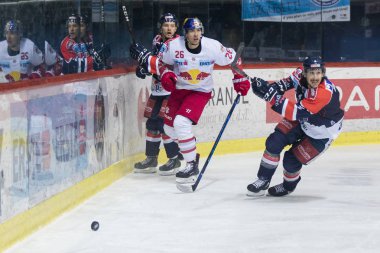 Zagreb, Hırvatistan - 10 Şubat 2018: Medvescak Zagreb ile Red Bull Salzburg arasında Ebel buz hokeyi ligi maçı. David Brine (4))
