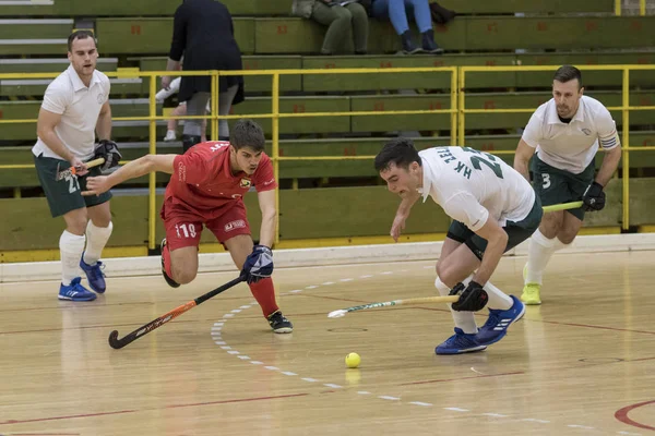 Zelina Croacia Marzo 2018 Croacia Día Las Finales Hockey Interiores —  Fotos de Stock