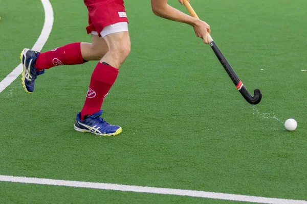 Zagreb, Hırvatistan - 29 Haziran 2018: Hırvatistan 2018 'de Hokey Serisi açıldı. Maç İsviçre ile Avusturya arasında (0-8). Aktivoda saha hokeyi oyuncuları