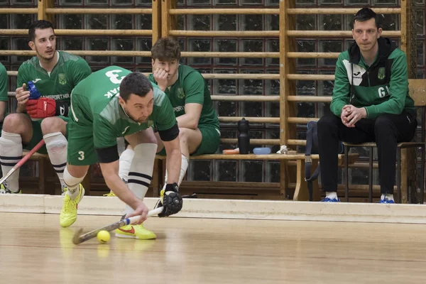 Zelina Croatie Mars 2018 Finale Hockey Intérieur Croatie Match Hockey — Photo