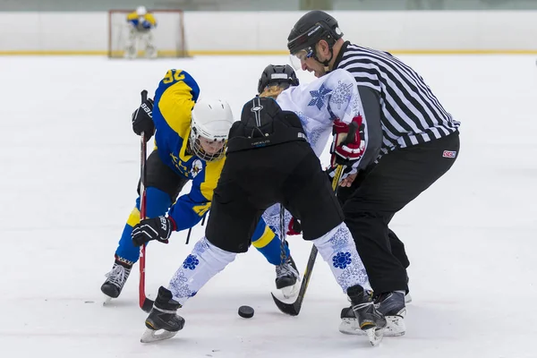 Zagreb Croacia Febrero 2018 Dbel Femenino Hockey Sobre Hielo Salata — Foto de Stock