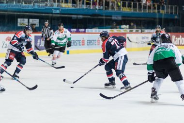 ZAGREB, CROATIA - SEPTEMBER 22, 2017: EBEL ice hockey league match between Medvescak Zagreb and  Graz 99ers. Tomas NETIK (71) with puck