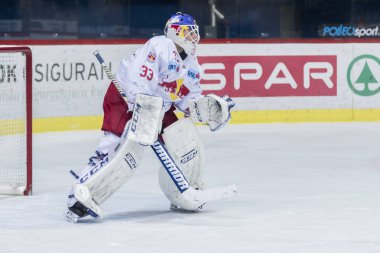 Zagreb, Hırvatistan - 21 Kasım 2017: Medvescak Zagreb ile Red Bull Salzburg arasında Ebel buz hokeyi ligi maçı. Red Bull kalecisi Luka Gracnar (33)
