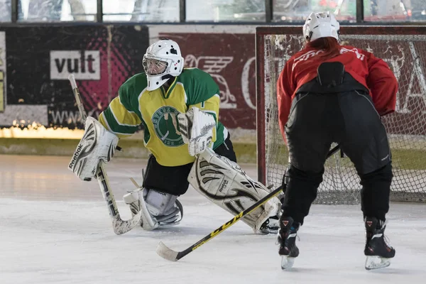 Zagreb Kroatien December 2017 Träning Damhockeylag Khl Gric Som Tävlar — Stockfoto