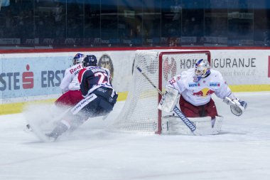 Zagreb, Hırvatistan - 21 Kasım 2017: Medvescak Zagreb ile Red Bull Salzburg arasında Ebel buz hokeyi ligi maçı. Samson Mahbod (22) Kızıl Boğa kalesine yakın bir yerde.