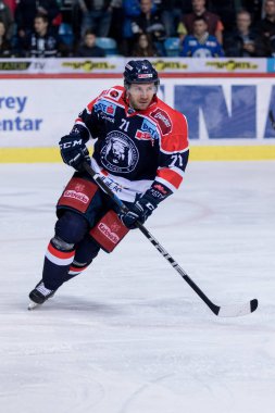 Zagreb, Hırvatistan - 31 Ekim 2017: Medvescak Zagreb ile Viyana Başkentleri arasında Ebel buz hokeyi ligi maçı. Tomas Netik (71) buzda kayıyor 