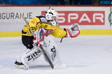 Zagreb, Hırvatistan - 31 Ekim 2017: Medvescak Zagreb ile Viyana Başkentleri arasında Ebel buz hokeyi ligi maçı. Kaleci Matthias Tschrepitsch (31) topu eldivenle yakalıyor 