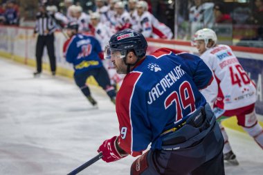 Zagreb, Hırvatistan - 30 Aralık 2018: Medvescak Zagreb ile Kac arasında Ebel buz hokeyi ligi maçı. Hokey oyuncuları iş başında.
