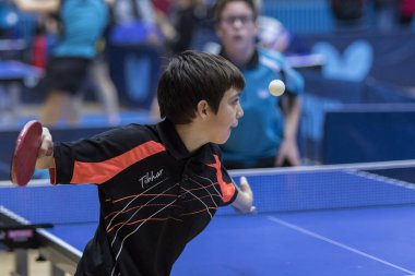 Zagreb, Hırvatistan - 25 Kasım 2017: Masa tenisi uluslararası anma töreni Antun Tova Stipanciç. Çocuk oyuncu topu servis ediyor.