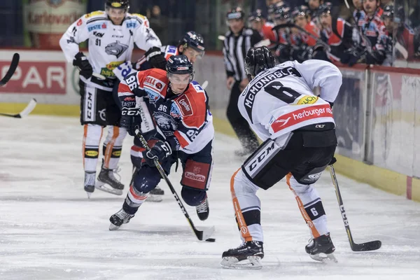 Zagreb Croatia December 2017 Ebel Ice Hockey League Match Medvescak — Stock Photo, Image